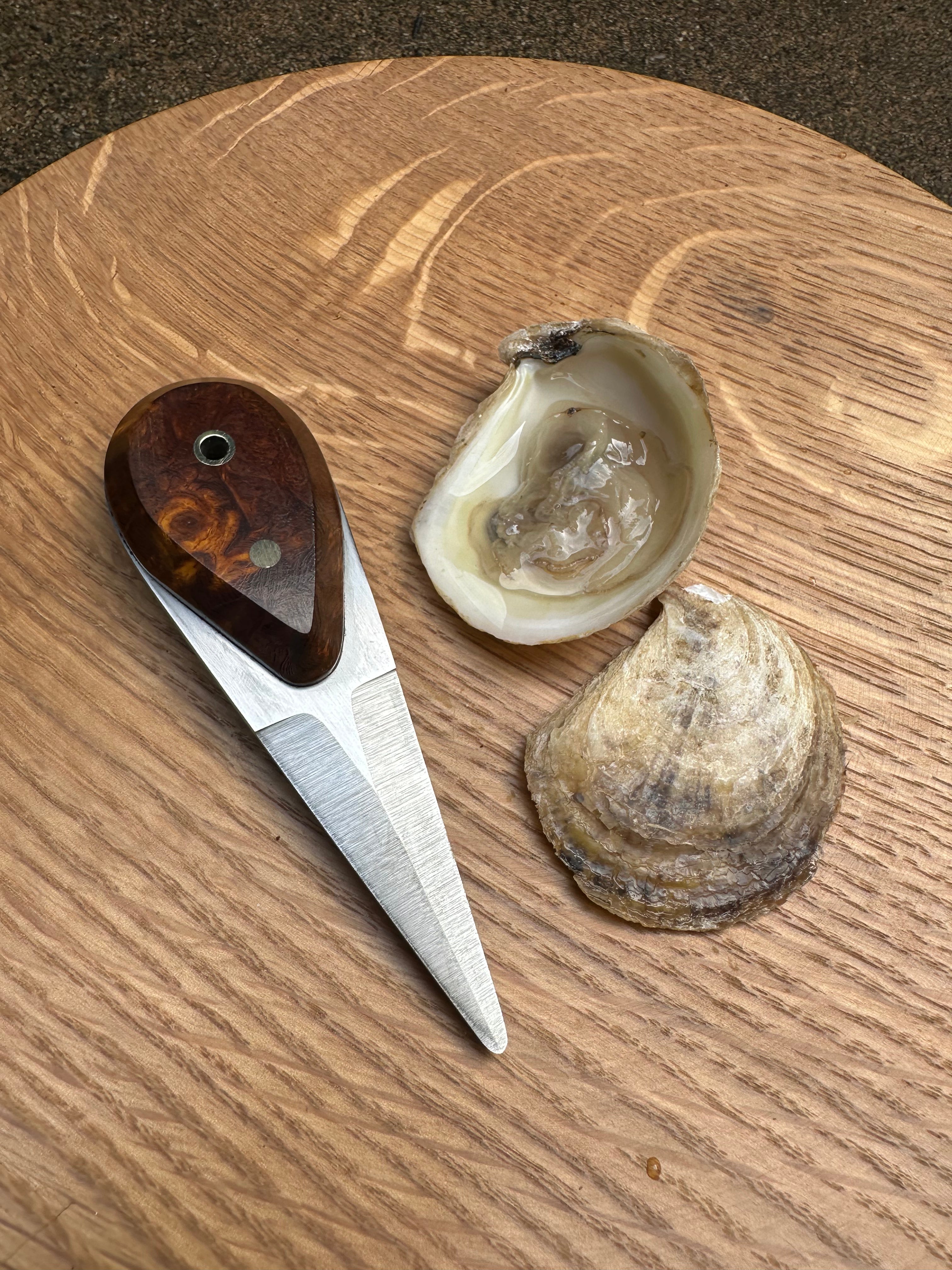 oyster shucker (ironwood)
